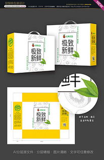 精品平面設(shè)計(jì) 從素材圖庫(kù)到廣告制作的創(chuàng)意之旅
